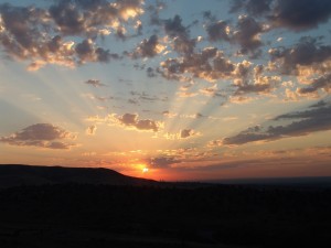 DSC00031                        
