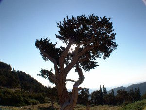 DSC00062                        