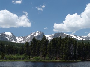 DSC00509                        