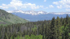 gore range                   