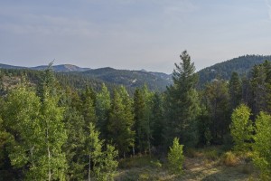 trees 3                      